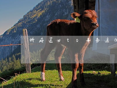 忻府区wto事务法律咨询热线