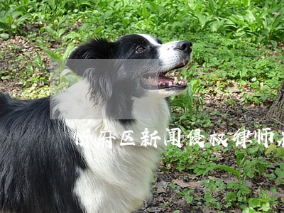 忻府区新闻侵权律师在线免费咨询 忻府区新闻侵权律师在线免费咨询