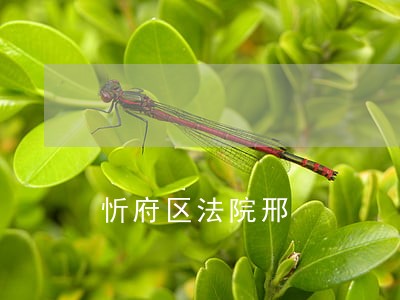 忻府区法院邢