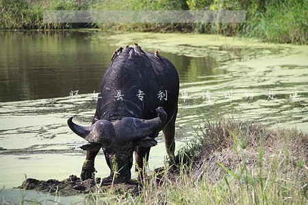 怀仁县专利申请纠纷处理律师 怀仁县专利申请纠纷处理律师