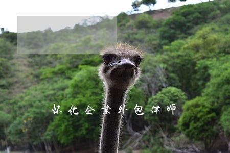怀化企业外包律师 怀化企业外包律师