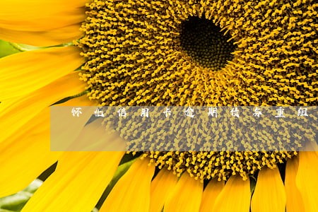 怀化信用卡逾期债务重组怎么协商 怀化信用卡逾期债务重组怎么协商