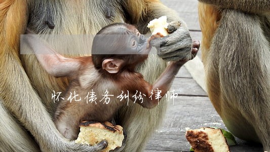 怀化债务纠纷律师 怀化债务纠纷律师