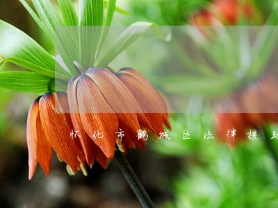 怀化市鹤城区法律援助在哪里 怀化市鹤城区法律援助在哪里