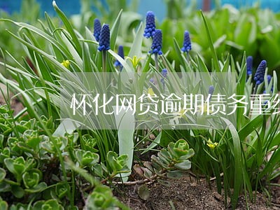怀化网贷逾期债务重组怎么协商 怀化网贷逾期债务重组怎么协商