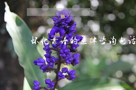 怀化靠谱的法律咨询电话 怀化靠谱的法律咨询电话