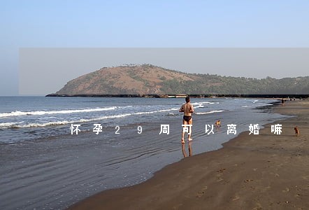 怀孕29周可以离婚嘛 怀孕29周可以离婚嘛
