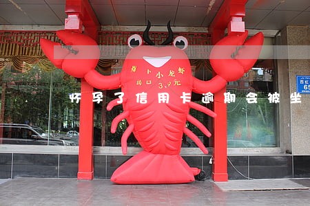 怀孕了信用卡逾期会被坐牢吗