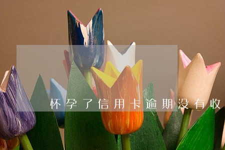 怀孕了信用卡逾期没有收入 怀孕了信用卡逾期没有收入