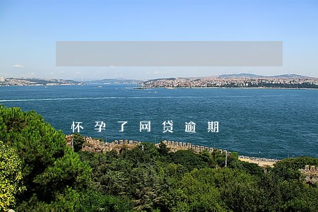 怀孕了网贷逾期 怀孕了网贷逾期