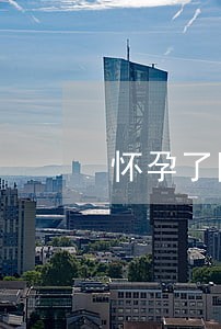 怀孕了网贷逾期能怎么办 怀孕了网贷逾期能怎么办