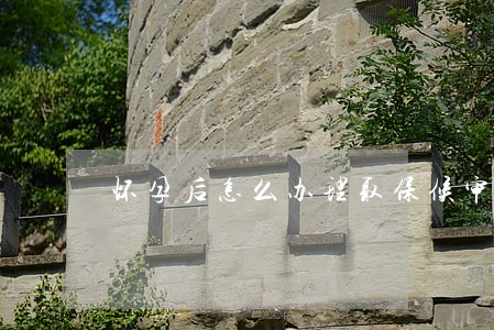 怀孕后怎么办理取保候审 怀孕后怎么办理取保候审