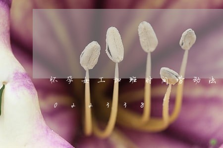 怀孕女工加班时间劳动法/2023021022338