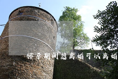 怀孕期间想离婚可以离婚吗 怀孕期间想离婚可以离婚吗
