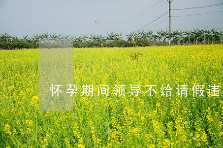 怀孕期间领导不给请假违不违法 怀孕期间领导不给请假违不违法