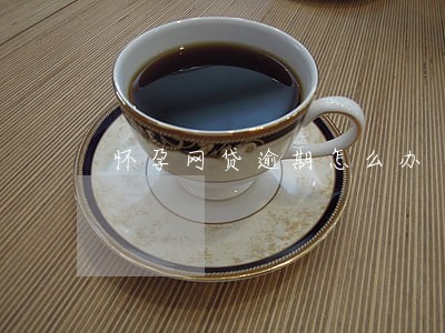 怀孕网贷逾期怎么办