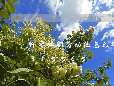 怀孕辞职劳动法怎么处罚/2023021315565 怀孕辞职劳动法怎么处罚/2023021315565