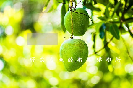 怀柔专业的取保律师所 怀柔专业的取保律师所