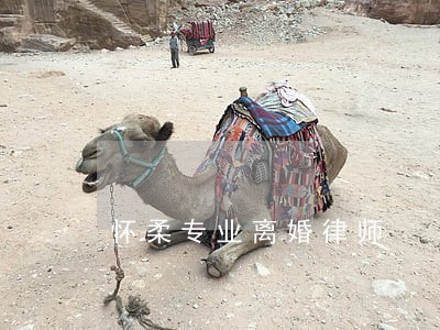 怀柔专业离婚律师 怀柔专业离婚律师
