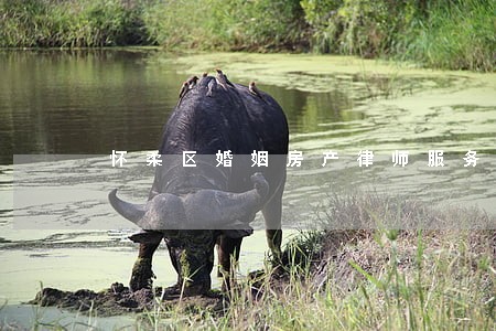 怀柔区婚姻房产律师服务 怀柔区婚姻房产律师服务