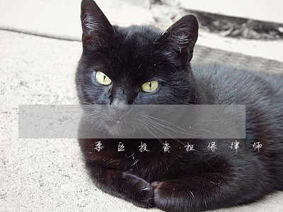 怀柔区投资担保律师 怀柔区投资担保律师