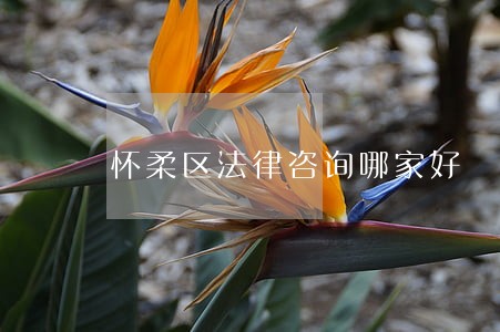 怀柔区法律咨询哪家好 怀柔区法律咨询哪家好