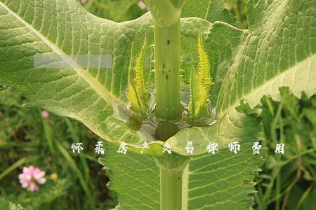 怀柔房产交易律师费用 怀柔房产交易律师费用