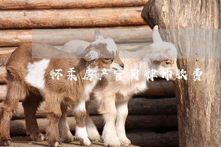 怀柔房产官司律师收费 怀柔房产官司律师收费