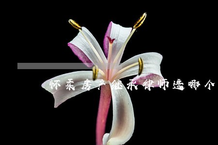 怀柔房产继承律师选哪个 怀柔房产继承律师选哪个