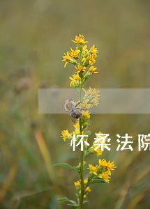 怀柔法院执行局电话
