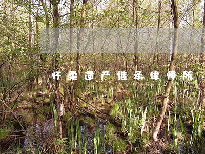 怀柔遗产继承律师所 怀柔遗产继承律师所