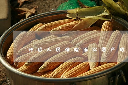 怀远人民法院诉讼资产拍卖 怀远人民法院诉讼资产拍卖