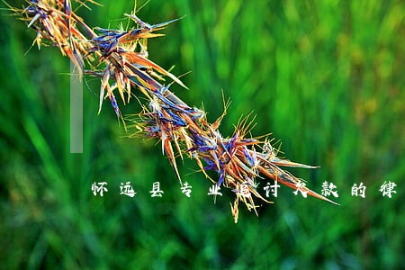 怀远县专业追讨欠款的律师 怀远县专业追讨欠款的律师