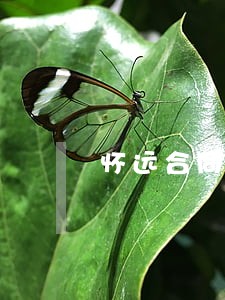 怀远合同律师 怀远合同律师