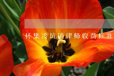 怀集冷坑镇律师收费标准 怀集冷坑镇律师收费标准