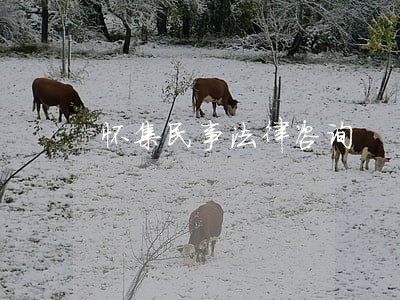 怀集民事法律咨询 怀集民事法律咨询