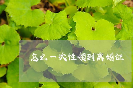 怎么一次性领到离婚证 怎么一次性领到离婚证