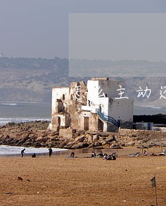 怎么主动还逾期信用卡的钱 怎么主动还逾期信用卡的钱