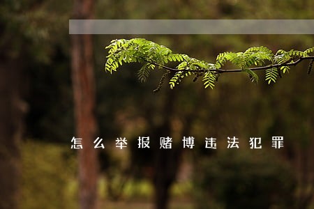 怎么举报赌博违法犯罪 怎么举报赌博违法犯罪