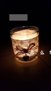 怎么举报违法乱纪行为