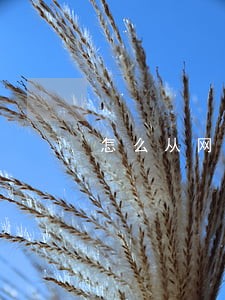 怎么从网上查信用卡逾期金额 怎么从网上查信用卡逾期金额