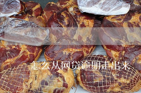 怎么从网贷逾期走出来 怎么从网贷逾期走出来