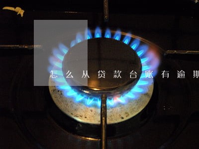 怎么从贷款台账有逾期 怎么从贷款台账有逾期
