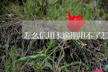 怎么信用卡逾期用不了怎么办 怎么信用卡逾期用不了怎么办