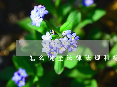 怎么健全法律法规和标准制度 怎么健全法律法规和标准制度