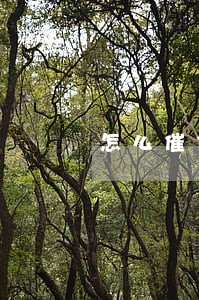 怎么催信用卡逾期客户 怎么催信用卡逾期客户