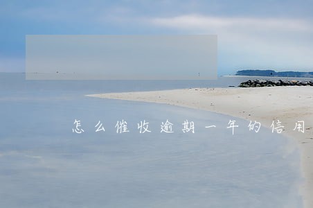 怎么催收逾期一年的信用卡