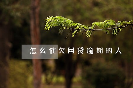 怎么催欠网贷逾期的人 怎么催欠网贷逾期的人