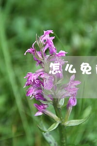 怎么免除信用卡逾期利息 怎么免除信用卡逾期利息