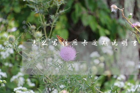 怎么写信用卡逾期说明书 怎么写信用卡逾期说明书